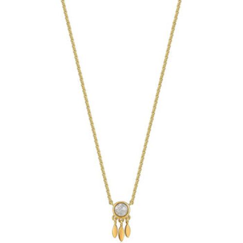 Ania Haie Kette N026-01G Gold In Damengrößen erhältlich. Einheitsgrösse. Jetzt N026-01G von Ania Haie auf Spartoo.de versandkostenfrei bestellen! - 29988501F232 - Modalova