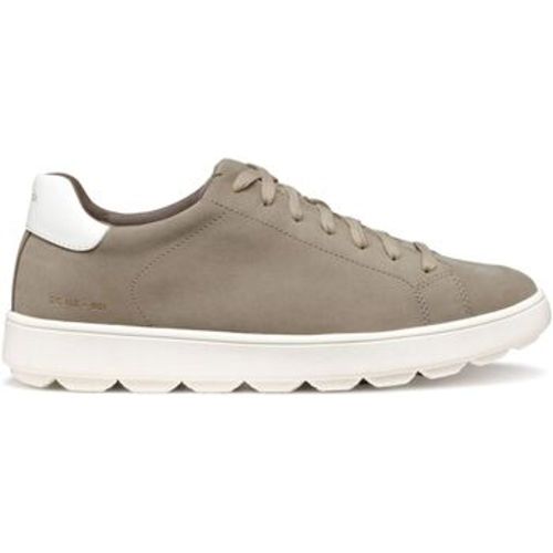 Sneaker Baskets en cuir suede Spherica ECUB-1 - Geox - Modalova