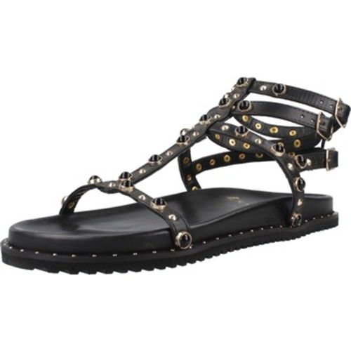 Befree Sandalen BARBARA 4042 - Befree - Modalova