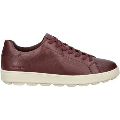 Geox Sneaker Sneaker - Geox - Modalova