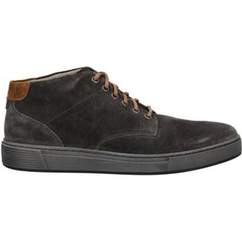 Pius Gabor Stiefelletten Sneaker - Pius Gabor - Modalova