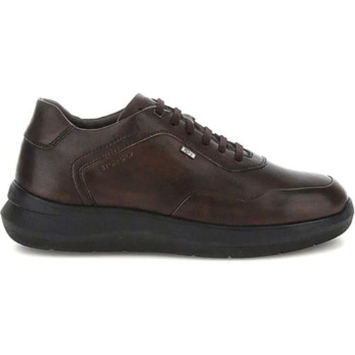 Sneaker Seven Season Hdry 8 sneaker - Stonefly - Modalova