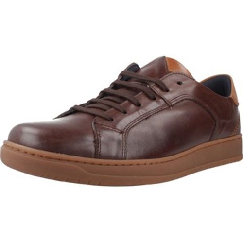 Pitillos Sneaker 40251P - Pitillos - Modalova