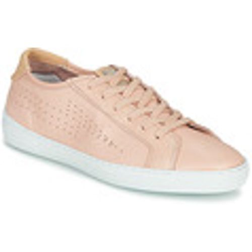 Sneakers basse NARCOTIC - PLDM by Palladium - Modalova