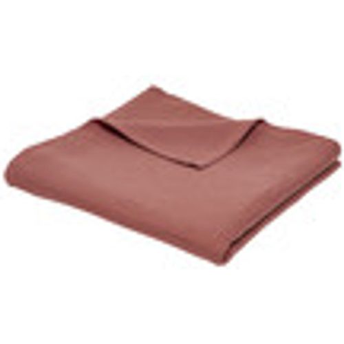 Plaid, coperte Plaid XL 150/200 Gaze de coton Essential Terracotta - Today - Modalova