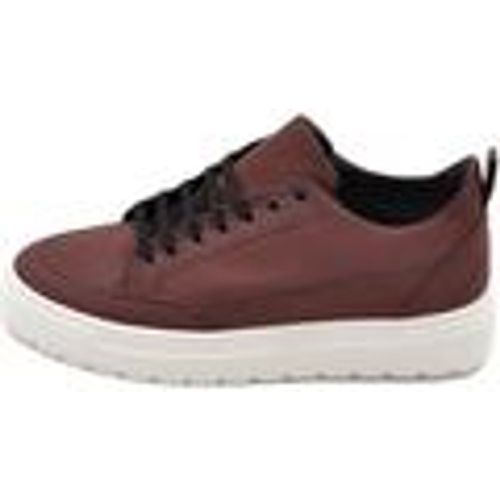 Sneakers Sneakers uomo bassa vera pelle bordeaux fortino tono su tono fo - Malu Shoes - Modalova