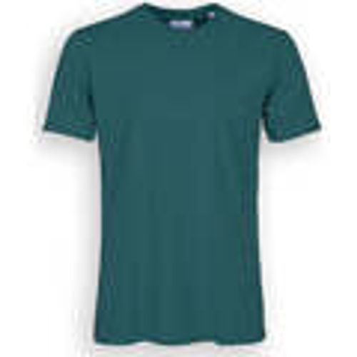 T-shirt & Polo Cotone Organico Verde - Colorful Standard - Modalova