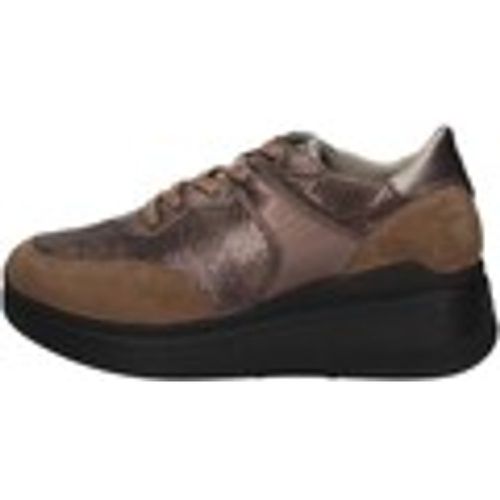 Sneakers IgI&CO 66543/11 - IGI&Co - Modalova