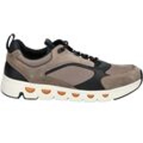 Sneakers Geox Sneakers - Geox - Modalova