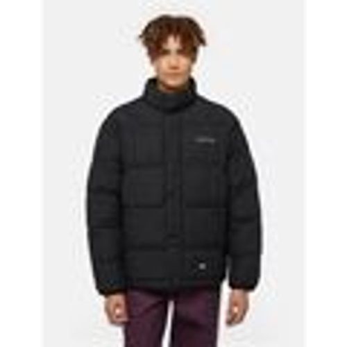 Giacche SCOBEY PUFFER - DK0A4Z34BLK1-BLACK - Dickies - Modalova