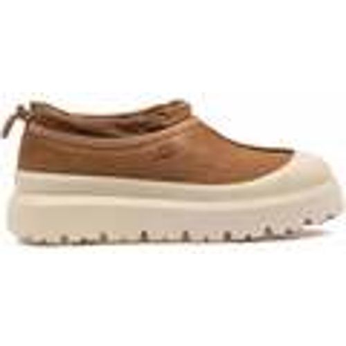 Sneakers Tasman Weather Hybrid Nocciola - Ugg - Modalova