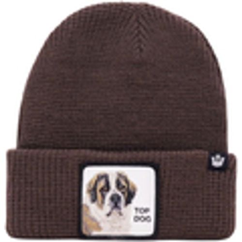 Cappelli Goorin Bros Brown Top Dog - Goorin Bros - Modalova