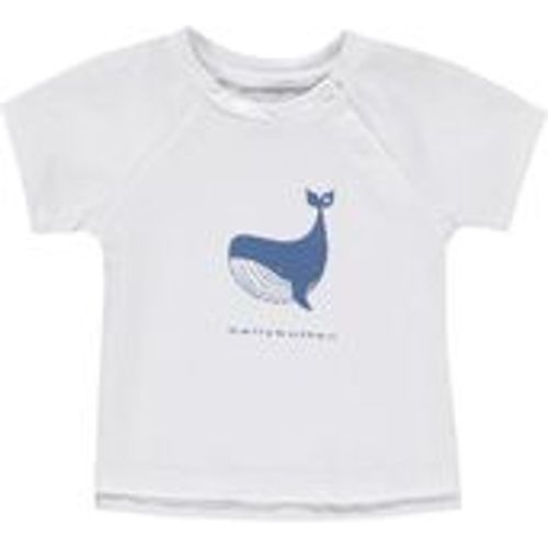 T-Shirt LITTLE WHALE in offwhite, Gr.68 - bellybutton - Modalova