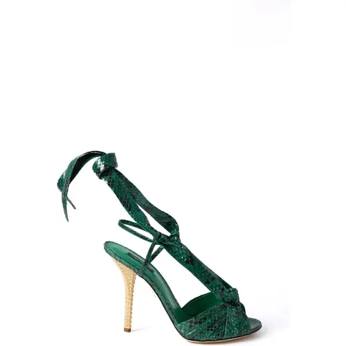 Snake Heeled Sandals for Women , female, Sizes: 3 UK - Dolce & Gabbana - Modalova