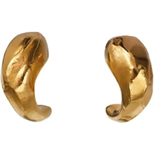 Raindrop Earrings , female, Sizes: ONE SIZE - Alighieri - Modalova