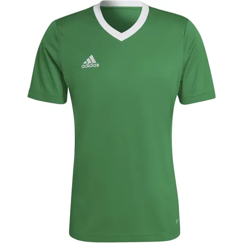 T-Shirt Ent22 Jsy Teagrn/W , Herren, Größe: S - Adidas - Modalova