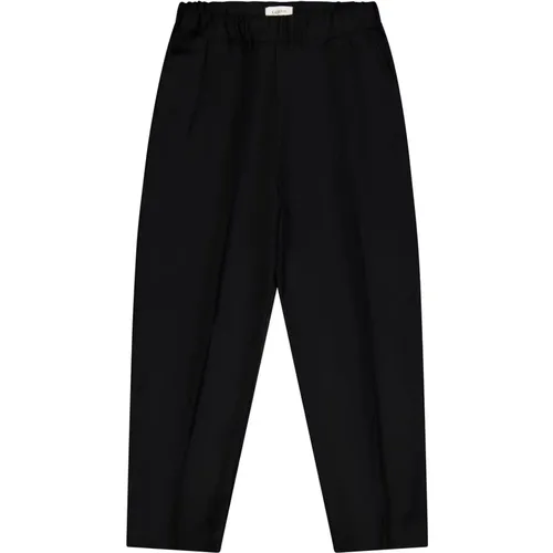 Wool Double Pence Wide Leg Trousers , male, Sizes: S, 2XL, XS, M, L - Laneus - Modalova