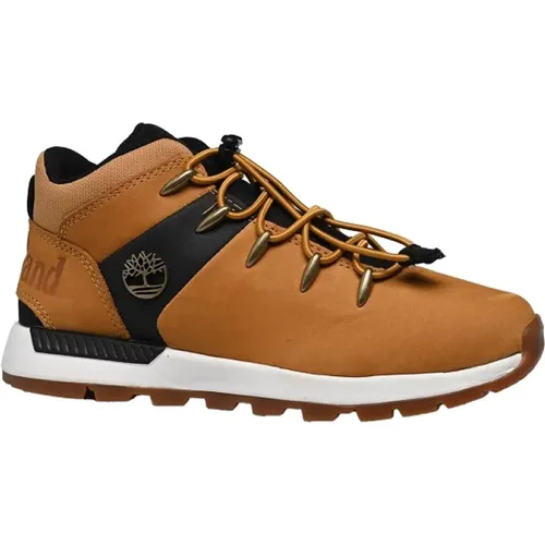 Sprint Trekker GTX Schuhe , Herren, Größe: 38 EU - Timberland - Modalova