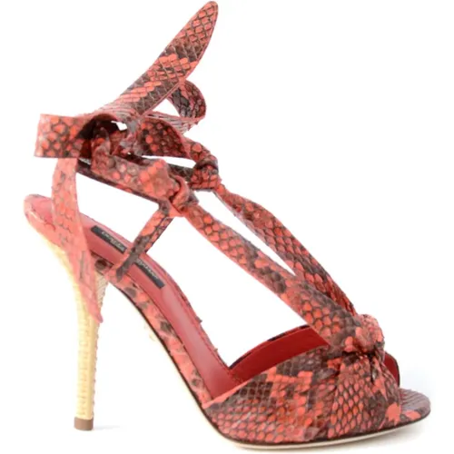 Damen Schlangenabsatz Sandalen , Damen, Größe: 37 EU - Dolce & Gabbana - Modalova