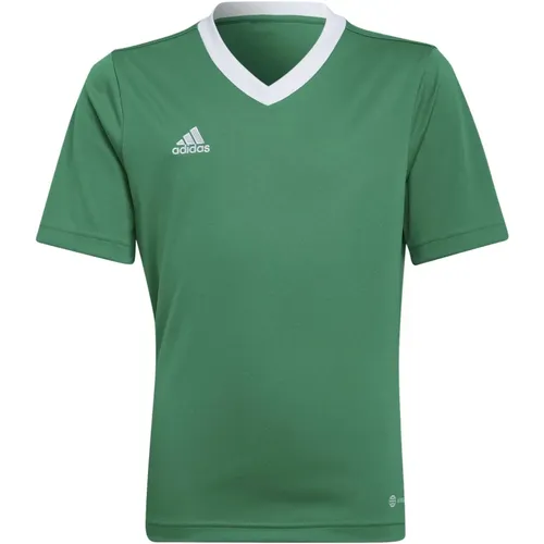 Grünes T-Shirt mit V-Ausschnitt und Aeroready-Technologie - Adidas - Modalova