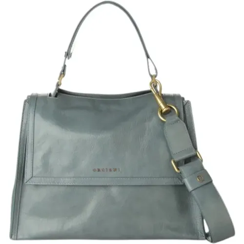 Vintage Leather Medium Sveva Bag , female, Sizes: ONE SIZE - Orciani - Modalova
