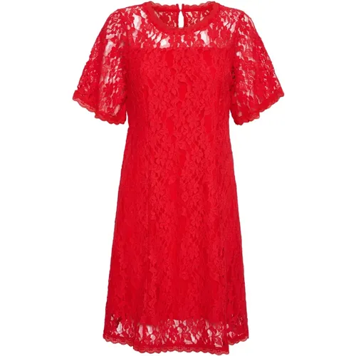 Lace Dress High Risk , female, Sizes: M, L, XS, XL, S, 2XL - Cream - Modalova