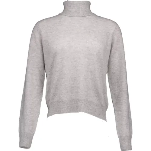 Graue Themys Pullover - Absolut Cashmere - Modalova