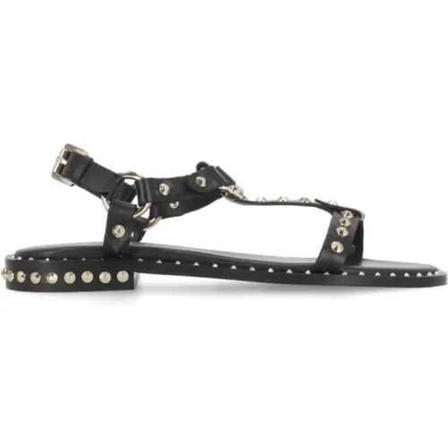 Leather Sandals with Golden Studs , female, Sizes: 4 UK - Ash - Modalova