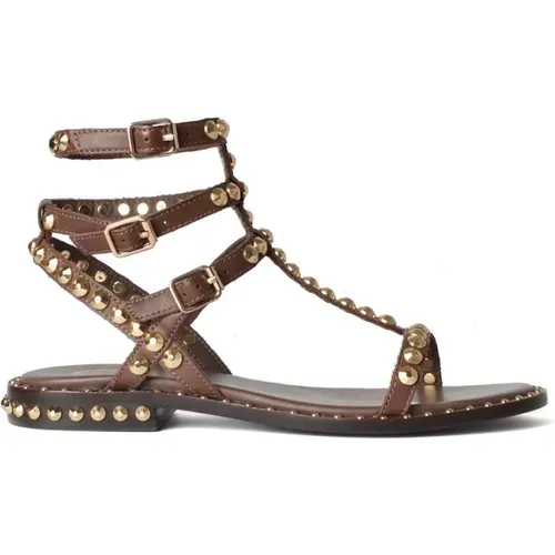 Leather Stud Sandals , female, Sizes: 3 UK, 4 UK - Ash - Modalova