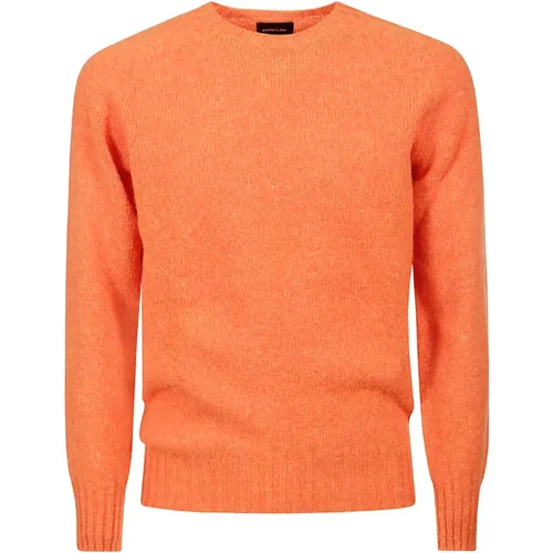 Cool Crewneck Wool Sweater , male, Sizes: L, XL, M, S - Howlin' - Modalova