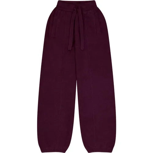 Sporty Cashmere Silk Pants , female, Sizes: XS, S - Laneus - Modalova