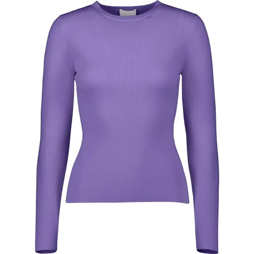 Cozy Knit Sweater , female, Sizes: XL, L - allude - Modalova