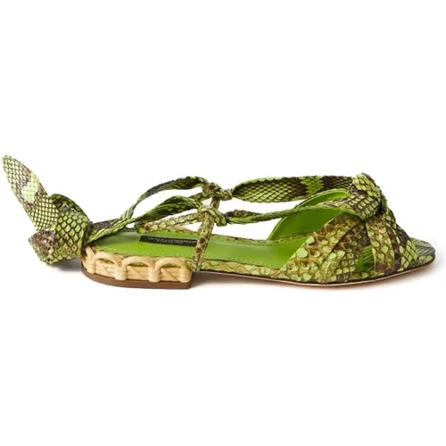 Womens Snake Sandals , female, Sizes: 7 UK, 2 1/2 UK, 4 UK, 2 UK, 5 UK, 6 UK, 3 UK - Dolce & Gabbana - Modalova