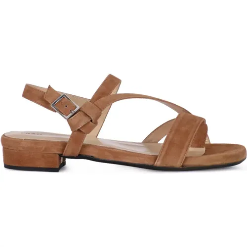 Sandals suede , female, Sizes: 3 UK - Frau - Modalova