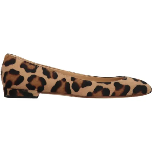 Leopard Ballet Flats - Francesco Russo - Modalova