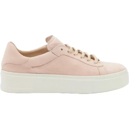 Low Top Sneakers , female, Sizes: 7 UK, 2 UK, 6 UK - Frau - Modalova