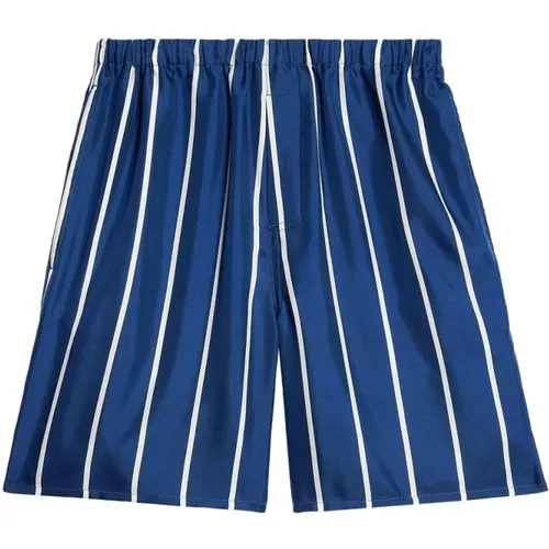 Silk Stripe Print Shorts , male, Sizes: L - Ami Paris - Modalova