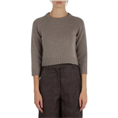 Cashmere Cropped Sweater Leida , female, Sizes: XL, L, S, M - Marella - Modalova