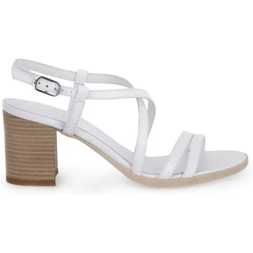 Sandals , female, Sizes: 4 UK - Nerogiardini - Modalova