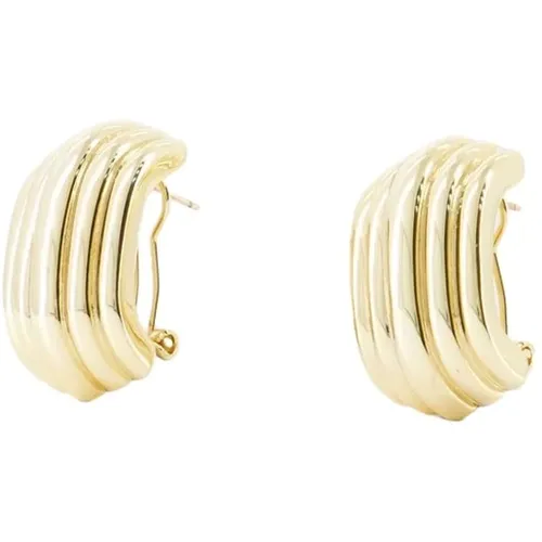 Chunky Ribbed Gold Earrings , female, Sizes: ONE SIZE - Anine Bing - Modalova