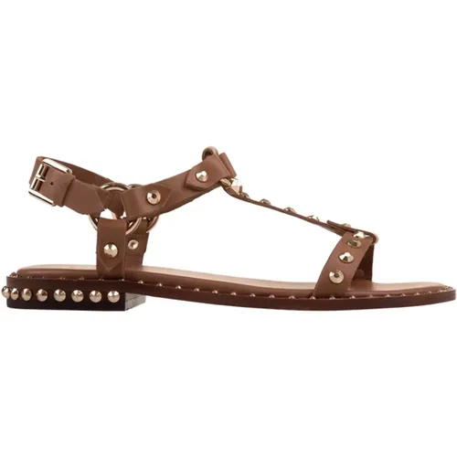 Leather Low Sandals with Studs , female, Sizes: 2 UK, 3 UK - Ash - Modalova