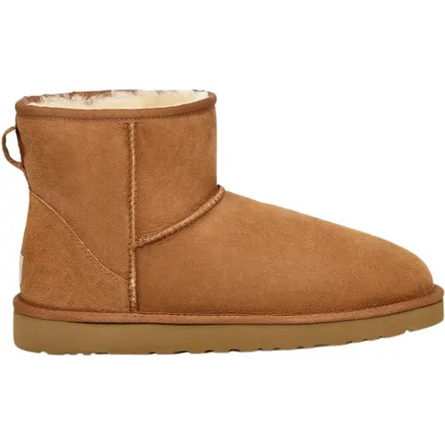 Classic Mini Boots , female, Sizes: 11 UK - Ugg - Modalova