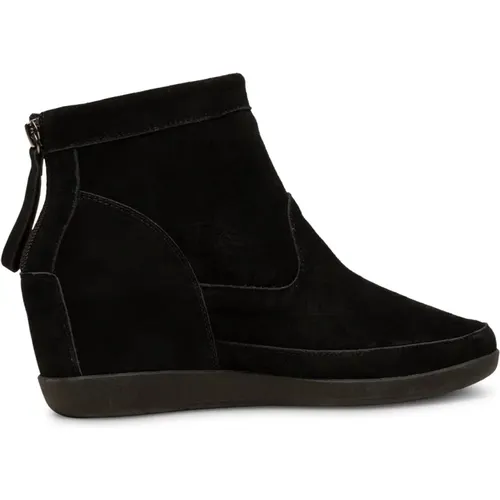 Emmy High-Top Wedge Sneaker - / , female, Sizes: 8 UK, 9 UK - Shoe the Bear - Modalova