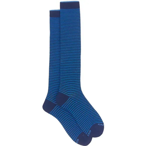 Royal Windsor Stripe Cotton Socks - Gallo - Modalova