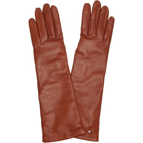 Handschuhe - Senape - Gr. 7 - in - für Damen - WEEKEND Max Mara - Modalova