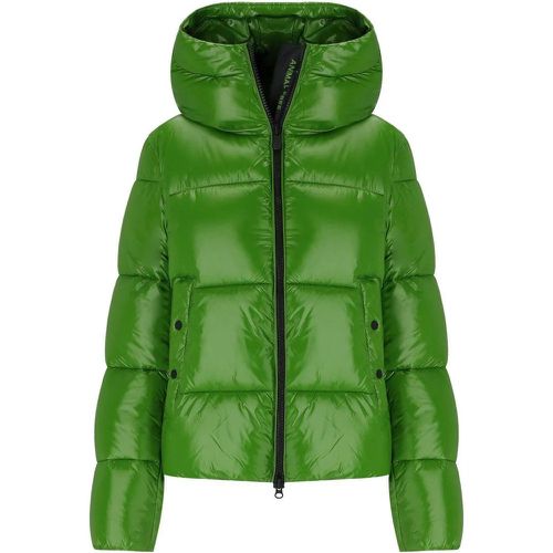 BIDDY GRÜNE WATTIERTE JACKE MIT KAP - Größe S - Save the Duck - Modalova