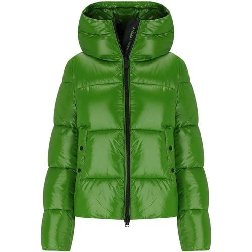 BIDDY GRÜNE WATTIERTE JACKE MIT KAP - Größe XS - Save the Duck - Modalova