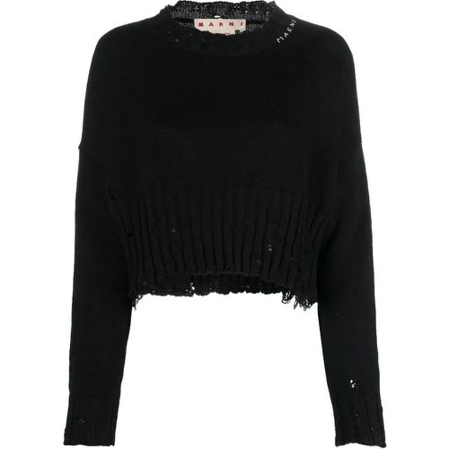 Distressed Cropped Jumper - Größe 38 - schwarz - Marni - Modalova