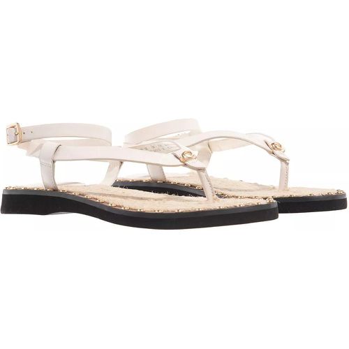 Sandalen - Gracey Leather Sandal - Gr. 37 (EU) - in - für Damen - Coach - Modalova