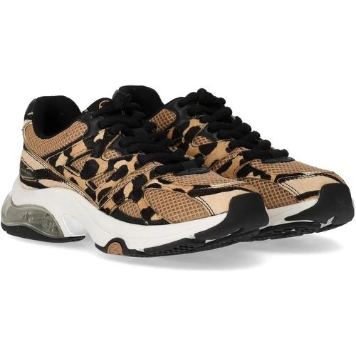 Sneakers - KIT TRAINER EXTREME ANIMALIER SNEAKER - Gr. 36,5 (EU) - in - für Damen - Michael Kors - Modalova